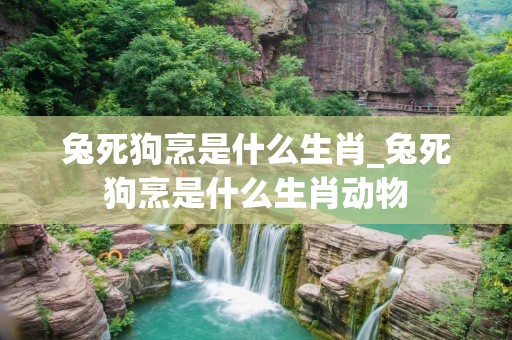 兔死狗烹是什么生肖_兔死狗烹是什么生肖动物