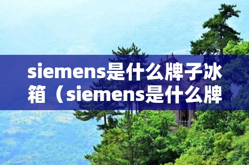 siemens是什么牌子冰箱（siemens是什么牌子冰箱怎么调）