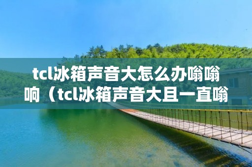 tcl冰箱声音大怎么办嗡嗡响（tcl冰箱声音大且一直嗡嗡响）