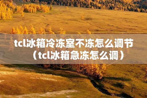 tcl冰箱冷冻室不冻怎么调节（tcl冰箱急冻怎么调）
