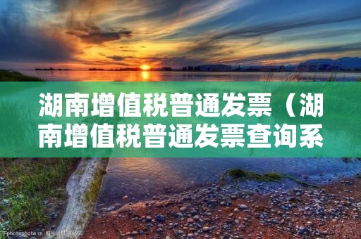 湖南增值税普通发票（湖南增值税普通发票查询系统）