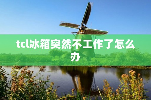 tcl冰箱突然不工作了怎么办