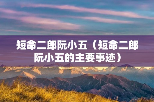 短命二郎阮小五（短命二郎阮小五的主要事迹）
