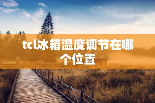 tcl冰箱温度调节在哪个位置