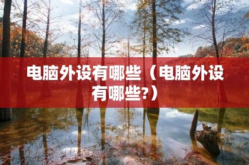 电脑外设有哪些（电脑外设有哪些?）
