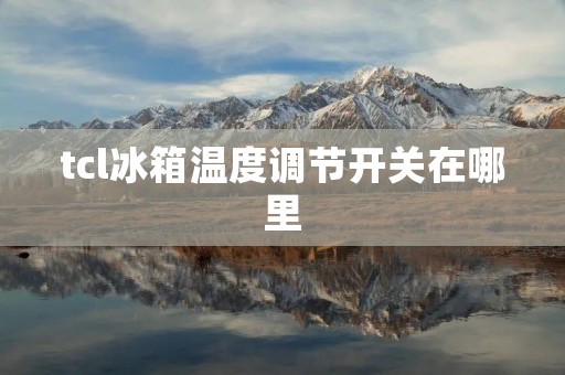 tcl冰箱温度调节开关在哪里