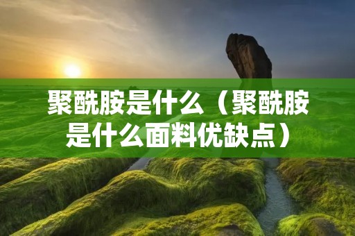 聚酰胺是什么(聚酰胺是什么面料优缺点) 聚酰胺是什么(聚酰胺是什么面料优缺点)