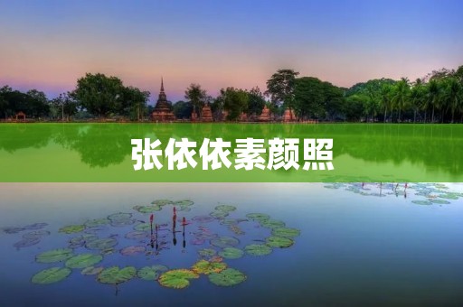 张依依素颜照