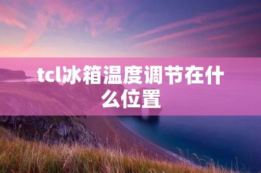 tcl冰箱温度调节在什么位置