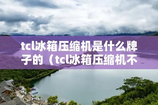 tcl冰箱压缩机是什么牌子的(tcl冰箱压缩机不工作的故障检修)