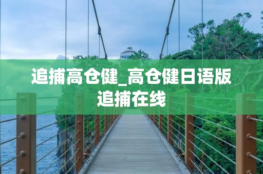 追捕高仓健_高仓健日语版追捕在线