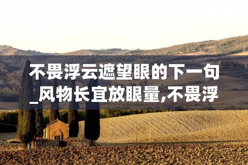 不畏浮云遮望眼的下一句_风物长宜放眼量,不畏浮云遮望眼