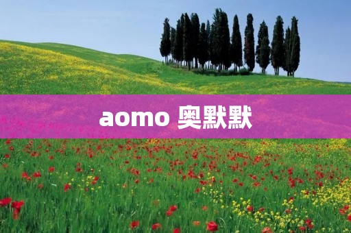 aomo 奥默默