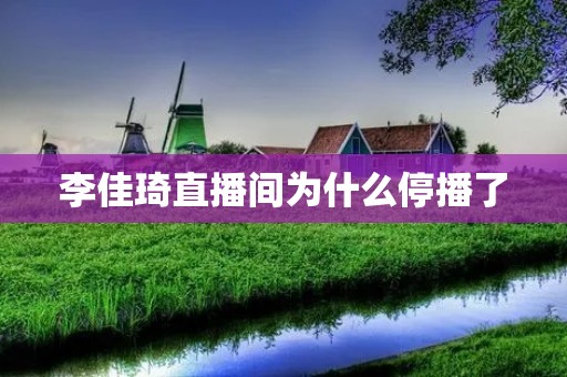 李佳琦直播间为什么停播了