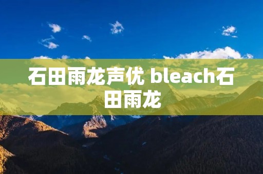 石田雨龙声优 bleach石田雨龙