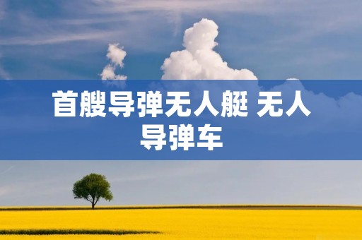 首艘导弹无人艇 无人导弹车 首艘导弹无人艇 无人导弹车
