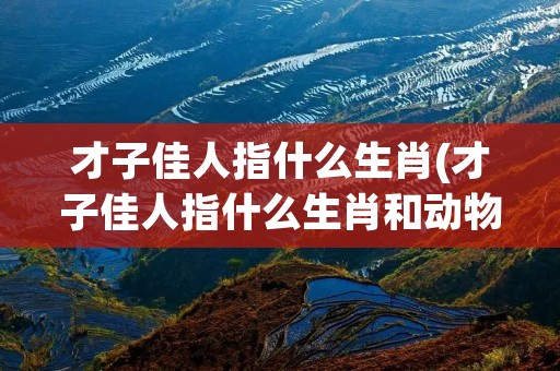 才子佳人指什么生肖(才子佳人指什么生肖和动物) 才子佳人指什么生肖(才子佳人指什么生肖和动物)