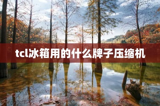 tcl冰箱用的什么牌子压缩机