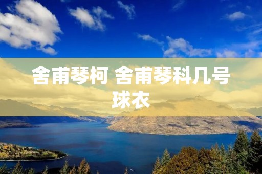 舍甫琴柯 舍甫琴科几号球衣