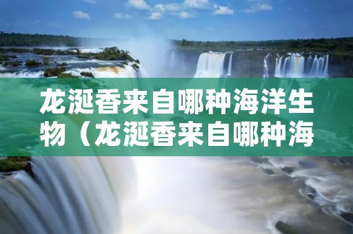 龙涎香来自哪种海洋生物（龙涎香来自哪种海洋生物中）