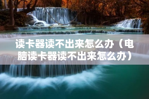 读卡器读不出来怎么办（电脑读卡器读不出来怎么办）
