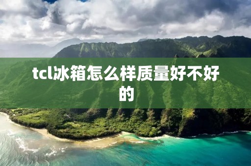 tcl冰箱怎么样质量好不好的
