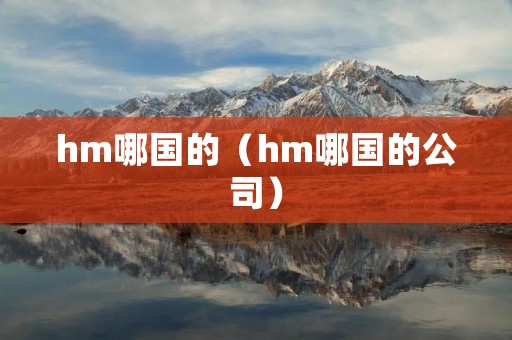 hm哪国的（hm哪国的公司）
