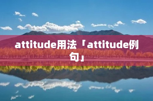 attitude用法「attitude例句」