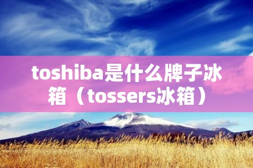 toshiba是什么牌子冰箱(tossers冰箱)