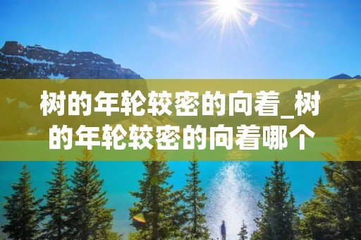 树的年轮较密的向着_树的年轮较密的向着哪个方向