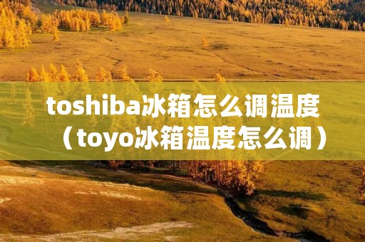 toshiba冰箱怎么调温度(toyo冰箱温度怎么调)