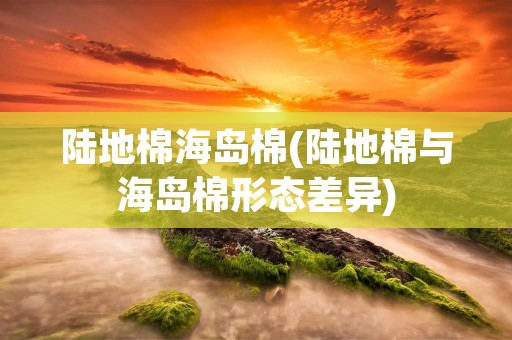陆地棉海岛棉(陆地棉与海岛棉形态差异)