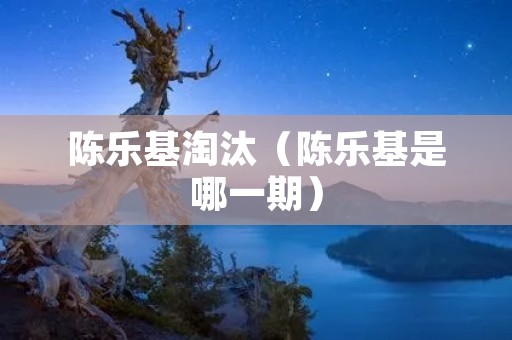 陈乐基淘汰（陈乐基是哪一期）