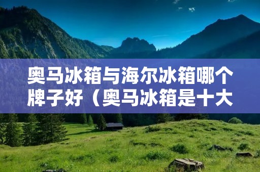 奥马冰箱与海尔冰箱哪个牌子好(奥马冰箱是十大名牌吗)