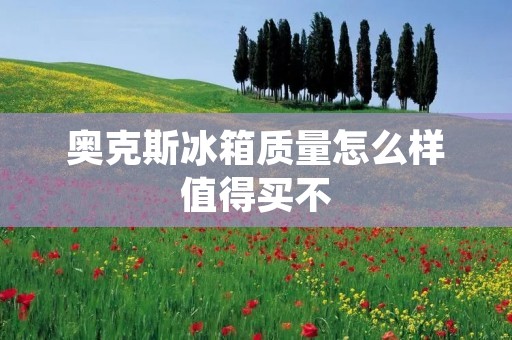 奥克斯冰箱质量怎么样值得买不