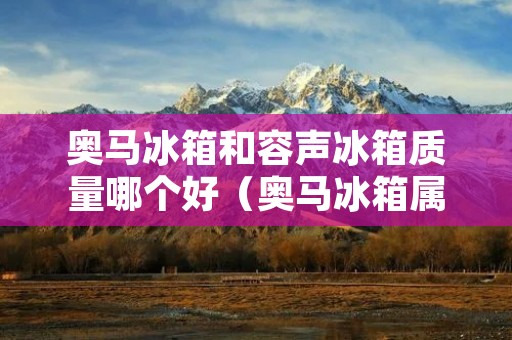 奥马冰箱和容声冰箱质量哪个好(奥马冰箱属于什么档次)