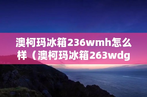 澳柯玛冰箱236wmh怎么样(澳柯玛冰箱263wdg价格)