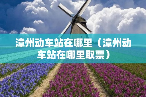 漳州动车站在哪里(漳州动车站在哪里取票) 漳州动车站在哪里(漳州动车站在哪里取票)