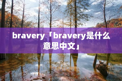 bravery「bravery是什么意思中文」