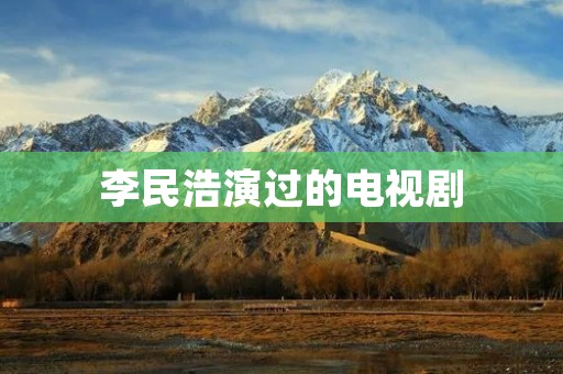 李民浩演过的电视剧