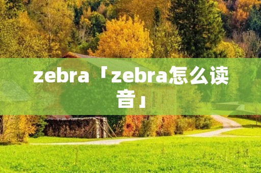 zebra「zebra怎么读音」