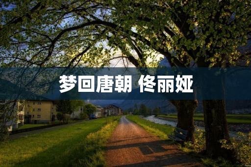 梦回唐朝 佟丽娅 梦回唐朝 佟丽娅