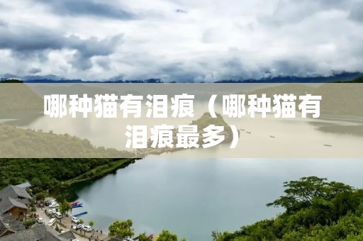 哪种猫有泪痕(哪种猫有泪痕最多) 哪种猫有泪痕(哪种猫有泪痕最多)
