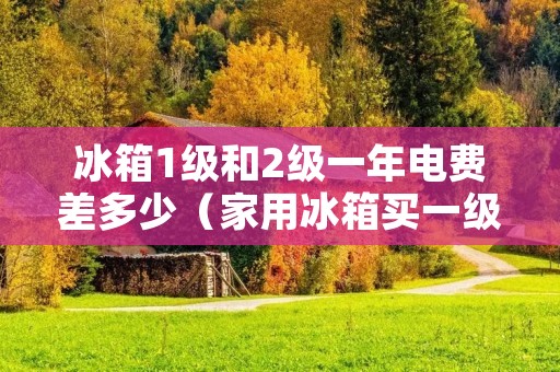 冰箱1级和2级一年电费差多少(家用冰箱买一级好还是二级好)