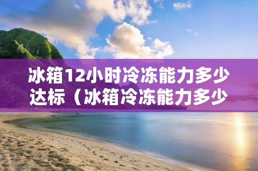 冰箱12小时冷冻能力多少达标(冰箱冷冻能力多少比较好)