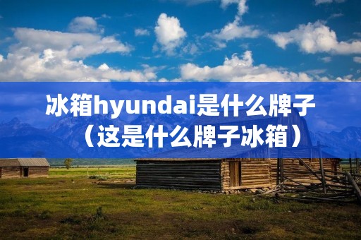 冰箱hyundai是什么牌子(这是什么牌子冰箱)