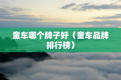 童车哪个牌子好（童车品牌排行榜）