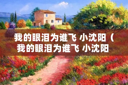 我的眼泪为谁飞 小沈阳（我的眼泪为谁飞 小沈阳 图片）