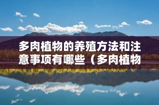 多肉植物的养殖方法和注意事项有哪些(多肉植物的养殖方法和注意事项有哪些 - 园艺知识站) 多肉植物的养殖方法和注意事项有哪些(多肉植物的养殖方法和注意事项有哪些 - 园艺知识站)