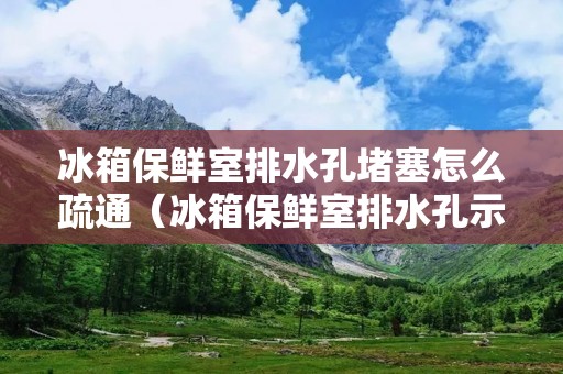 冰箱保鲜室排水孔堵塞怎么疏通（冰箱保鲜室排水孔示意图）